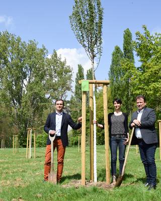 v.li.n.re: Thomas Krischik, Kommunalmanager bei Westenergie, Klimaschutzmanagerin Antje Fehr und Bürgermeister Lutz Wagner freuen sich über die Pflanzung der Klimabäume.
