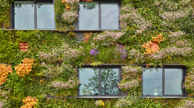 Hauswand begrünt © adobestock_544102985_martin_bergsma