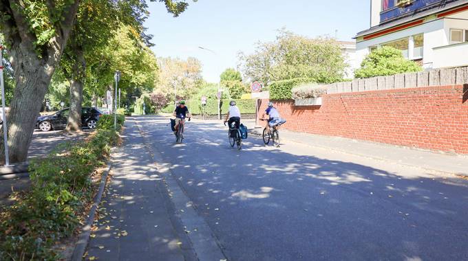 Der Rheinradweg vor der Sanierung © Stadt Königswinter/Pressestelle Fahrradfahrer im Herbst 2025 vor dem Start der Sanierung