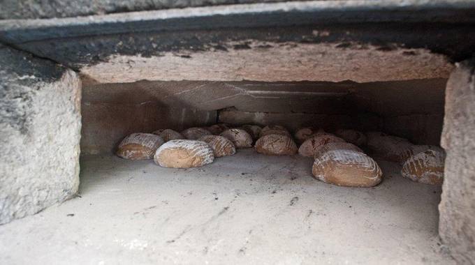 Steinofenbrot aus dem Backofen