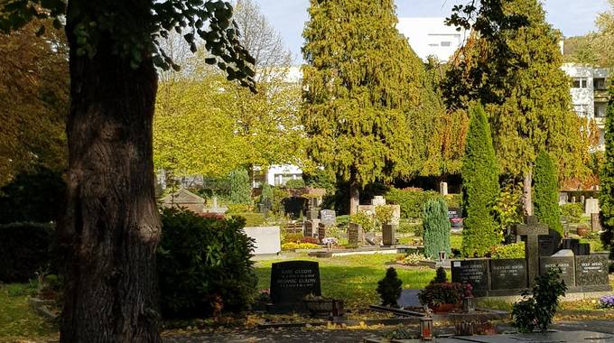 Friedhof Am Palastweiher, Königswinter-Altstadt