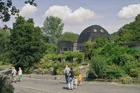 Drachenfels