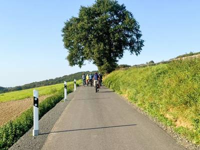 Blick auf eine Landstraße mit Radfahrenden, im Hintergrund ein großer Baum.