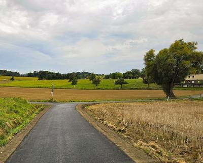 Der Wirtschaftsweg "Auf dem Schnorrenberg" von Oelinghoven nach Bockeroth