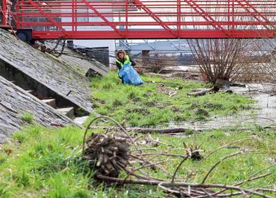 Im Gras und am Rheinufer verbirgt sich u.a. angeschwemmter Müll.