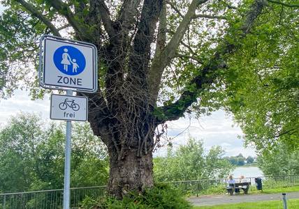 An der Rheinpromenade in der Altstadt müssen Radfahrende Schrittgeschwindigkeit beachten © Stadt Königswinter/Pressestelle Schild Fußgängerzone und Fahrrad frei