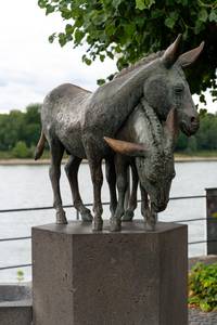 Eselsbrunnen © Gero Sander Eselsbrunnen am Rheinufer