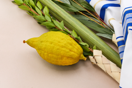 Traditionelle Sukkot-Symbole © Adobe Stock / Vetre Traditionelle Sukkot-Symbole
