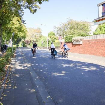 Rheinradweg3BA FörderungRadweg