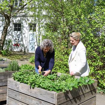 Zwei Frauen begutachten ein Hochbeet