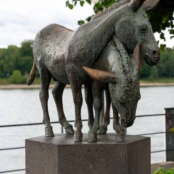 Eselsbrunnen © Gero Sander Eselsbrunnen am Rheinufer