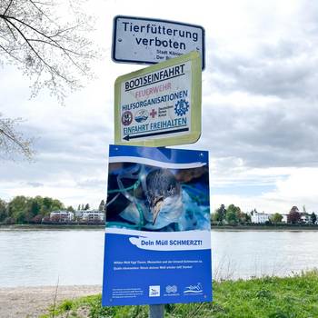 MuellSchmerzt