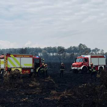 Im Waldbrandgebiet