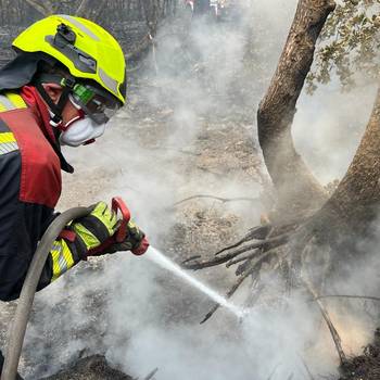 Löschen eines Brandes