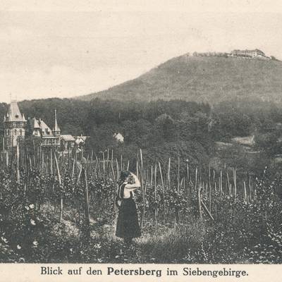 Blick vom Pfaffenröttchen auf den Petersberg, Ansichtskarte, um 1910