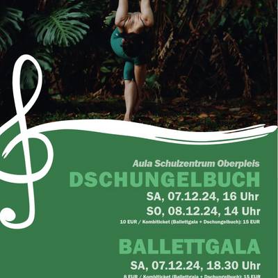 PlakatBallettDezember24