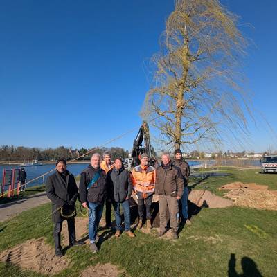 gruppenbildweide low