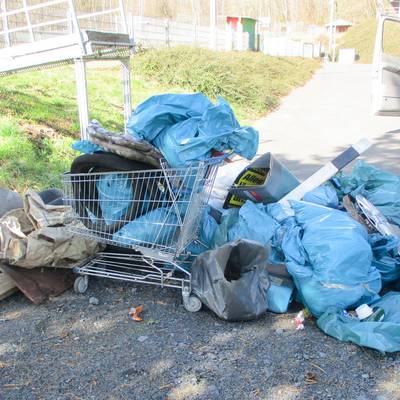 MüllEinkaufswagen low