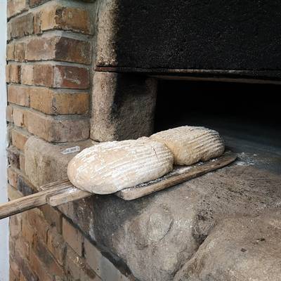Bild Backen 05 Gilleßen