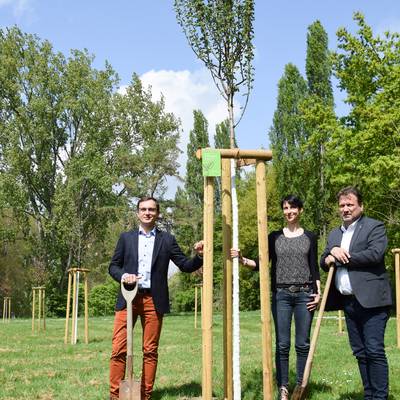 v.li.n.re: Thomas Krischik, Kommunalmanager bei Westenergie, Klimaschutzmanagerin Antje Fehr und Bürgermeister Lutz Wagner freuen sich über die Pflanzung der Klimabäume.