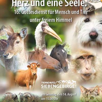 Plakat Gottesdienst für Mensch und Tier 2022