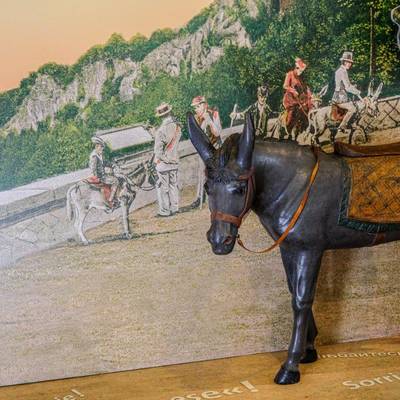 Modell eines Esels im Siebengebirgsmuseum