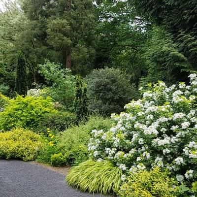 Arboretum im Park Härle