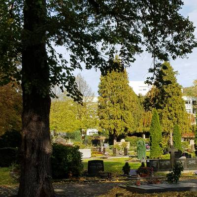 Blick über den Friedhof Am Palastweiher, Altstadt von Königswinter