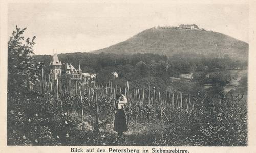 Blick vom Pfaffenröttchen auf den Petersberg, Ansichtskarte, um 1910