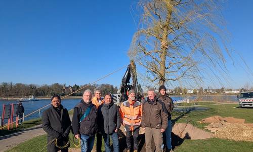 gruppenbildweide low