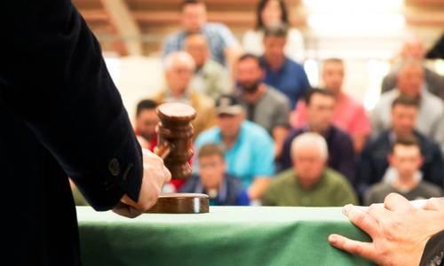 Versteigerung in einem Raum voller Menschen