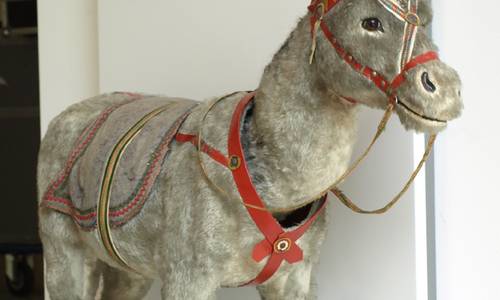 Esel im Siebengebirgsmuseum