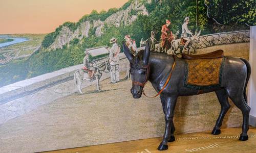 Modell eines Esels im Siebengebirgsmuseum