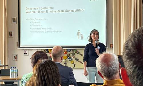 vorstellungnahmobilitaetheinen manz low