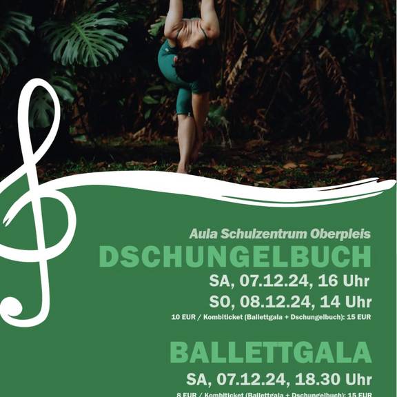 PlakatBallettDezember24