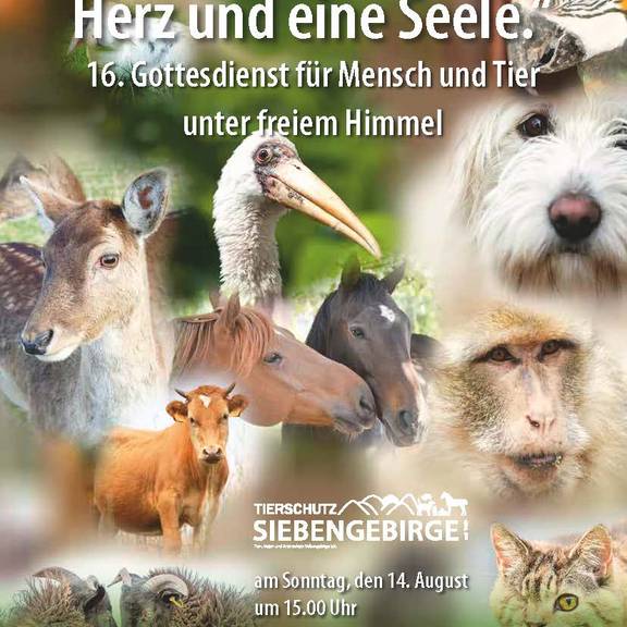 Plakat Gottesdienst für Mensch und Tier 2022