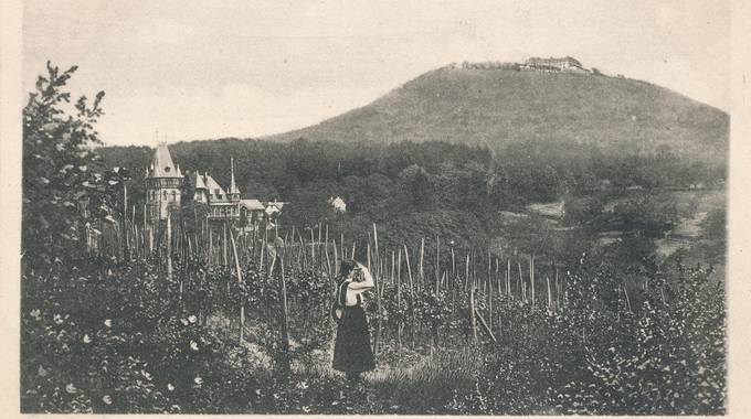Blick vom Pfaffenröttchen auf den Petersberg, Ansichtskarte, um 1910