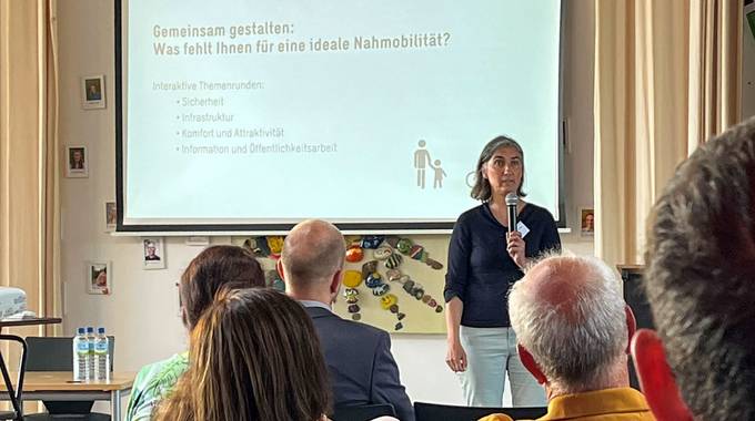 vorstellungnahmobilitaetheinen manz low