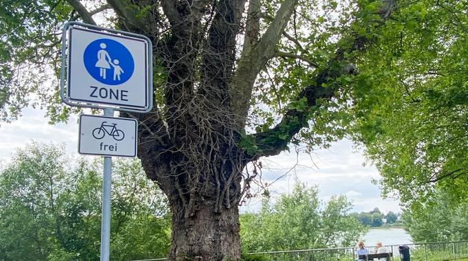 An der Rheinpromenade in der Altstadt müssen Radfahrende Schrittgeschwindigkeit beachten © Stadt Königswinter/Pressestelle Schild Fußgängerzone und Fahrrad frei