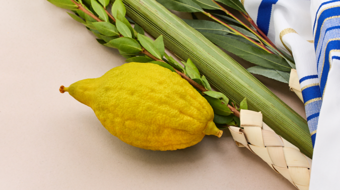 Traditionelle Sukkot-Symbole © Adobe Stock / Vetre Traditionelle Sukkot-Symbole