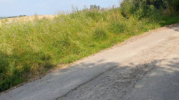 Beispiel eines sanierungsbedürftigen Wirtschaftsweges in Königswinter-Bockeroth