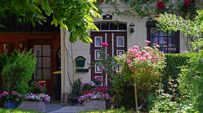 Vorgarten mit Blumen und Pflanzen