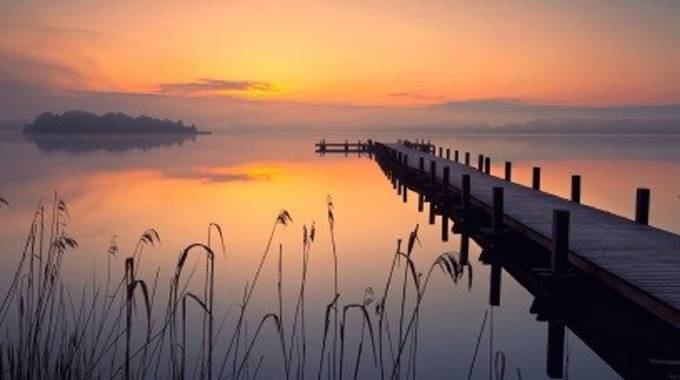 Abschied © JennySturmfotoliaco Blick durch Schilfpflanzen an einem See bei Sonnenuntergang