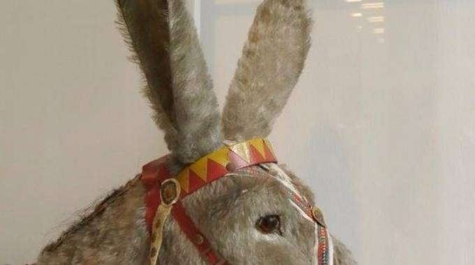 Esel © Siebengebirgsmuseum sgm familienfuehrung