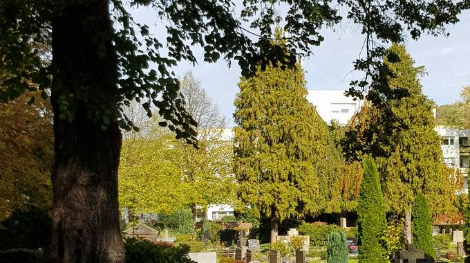 Blick über den Friedhof Am Palastweiher, Altstadt von Königswinter